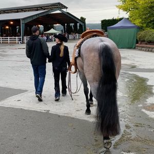 Meet your Posher, Taylor